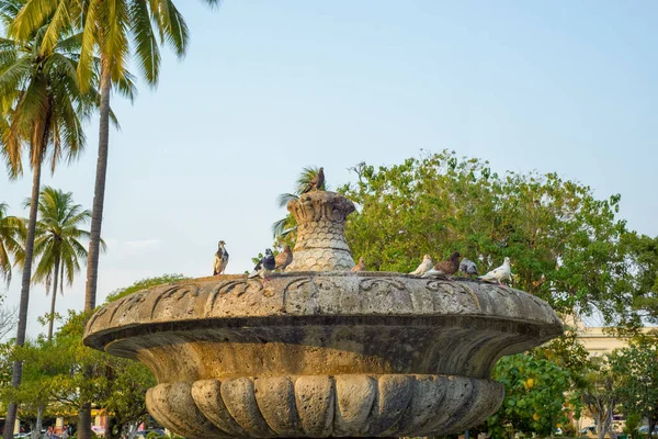 Des Pigeons Sur Une Fontaine Dans Parc Ciel Bleu Arrière — Photo