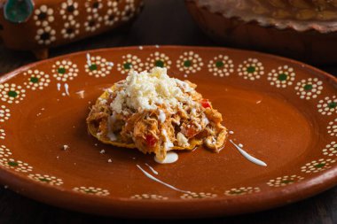 Taze peynirli ve kremalı otantik Meksika tavuğu tinga.