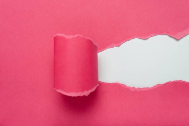Beyaz arkaplanı gösteren koyu pembe yırtık bir kağıt. Metin için boşluk.
