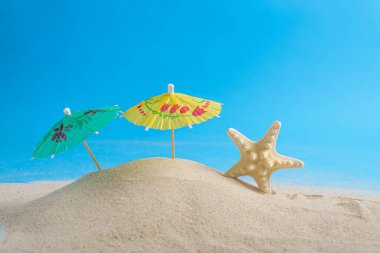 Deniz yıldızı iskeletleri ve kumsalda mavi arka planı olan kokteyl şemsiyeleri. Metin için alanı olan yaz arkaplanı.