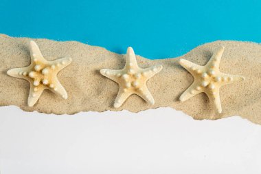 Deniz kumu üzerine beyaz yırtık kağıt ve mavi arka planda deniz yıldızı. Yaz arkaplanı.