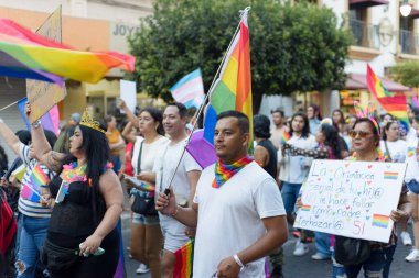 Colima, Colima. Meksika; 15 Haziran 2024: LGBT + Gurur Yürüyüşü 'nü kutlayan insanlar çok renkli bayrakları sallıyor.