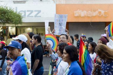 Colima, Colima. Meksika; 15 Haziran 2024: LGBT + Gurur Yürüyüşü 'nü kutlayan insanlar çok renkli bayrakları sallıyor.
