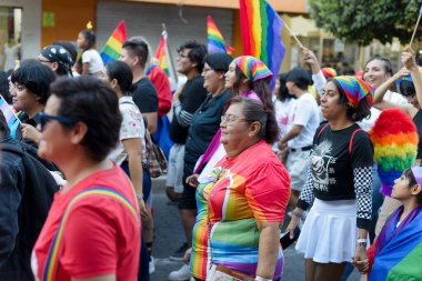 Colima, Colima. Meksika; 15 Haziran 2024: LGBT + Gurur Yürüyüşü 'nü kutlayan insanlar çok renkli bayrakları sallıyor.