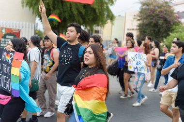 Colima, Colima. Meksika; 15 Haziran 2024: LGBT + Gurur Yürüyüşü 'nü kutlayan insanlar çok renkli bayrakları sallıyor.