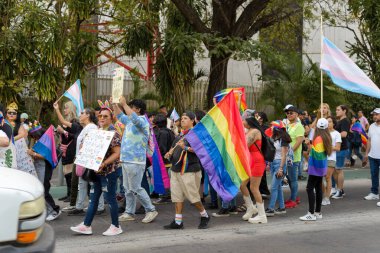 Colima, Colima. Meksika; 15 Haziran 2024: LGBT + Gurur Yürüyüşü 'nü kutlayan insanlar çok renkli bayrakları sallıyor.