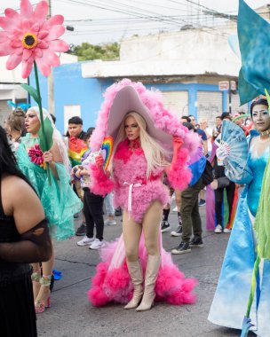 Colima, Colima. Meksika; 15 Haziran 2024: Eşcinsel Onur Yürüyüşü sırasında Drag Queen 'in Portresi.