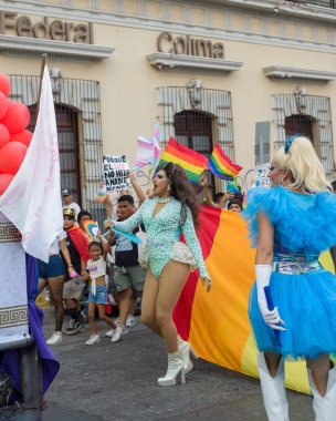 Colima, Colima. Meksika; 15 Haziran 2024: Eşcinsel Onur Yürüyüşü sırasında Drag Queen 'in Portresi.