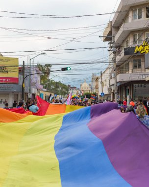Colima, Colima. Meksika mı? 15 Haziran 2024: İnsanlar LGBT + Gurur Yürüyüşü 'nü çok renkli bayrakları sallayarak kutluyor.