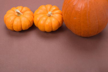 Kahverengi arkaplanlı dekoratif balkabakları. Boşluğu kopyala.