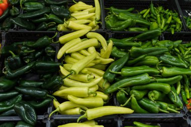 Meksika 'da süpermarket raflarındaki kırmızı biber çeşitleri.