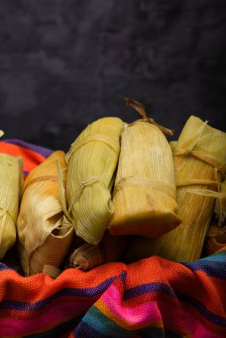 Renkli bir masa örtüsü üzerinde Tamale. Meksika yemeği. Boşluğu kopyala.