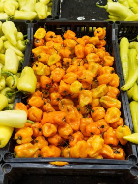 Yakın planda olgun, parlak turuncu habanero biberleriyle dolu sandıklar görülüyor..