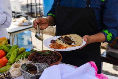 Bir satıcı lezzetli görünümlü bir taco sunar Köstebek, pirinç, ve chapulines ile kaplı (çekirgeler)
