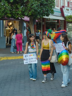 Colima, Colima. Meksika; 21 Haziran 2025: Üç kadın LGBTQ + haklarını savunan pankartlarla Onur Yürüyüşüne katıldı.