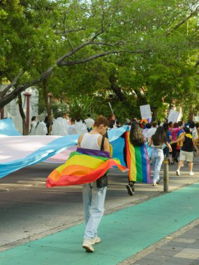 Colima, Colima. Mexico; June 21, 2025: A person carries a vibrant rainbow pride flag during a lively street parade, showcasing LGBTQ+ unity and celebration.