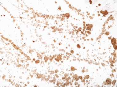 El değmemiş beyaz bir fonda etrafa kahve saçılıyor..