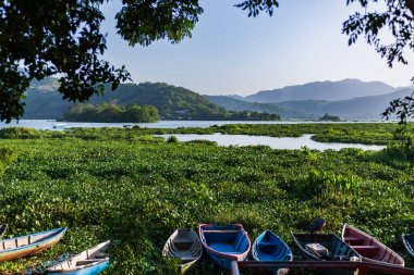 Canlı bir su sümbülü halısında dinlenen renkli teknelerin yer aldığı sakin bir göl sahnesi. Olomega Gölü