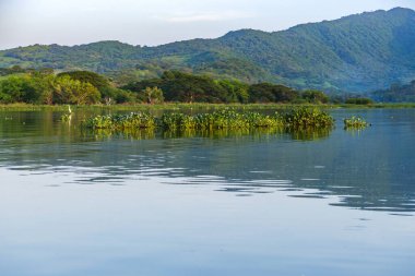 Bereketli yeşil dağları yansıtan sakin bir göl manzarası. El Salvador 'daki Olomega Gölü.