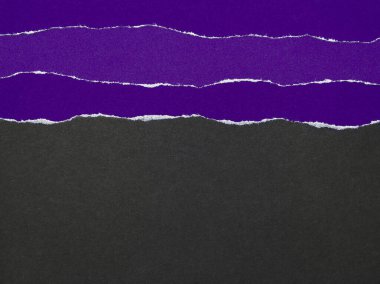 Siyah arka planda yırtık menekşe kağıtları. Boşluğu kopyala.