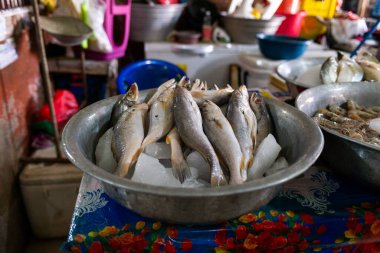 Yakın plan Gümüş Karga Balığı Markette Buzun Üzerinde Gösterildi