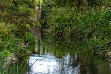 Bivre Nehri 'nin Fransa' nın Cachan kentindeki açık havada akışına bakın. Bir zamanlar Seine Nehri 'nin bir kolu olan Bievre, şimdi Paris' in kanalizasyonlarına akıyor.