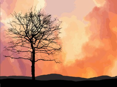 Beyaz arka planda izole edilmiş ağaç koleksiyonu.