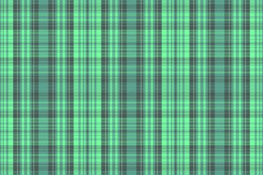 Siyah beyaz desenli yeşil ekose kumaş.