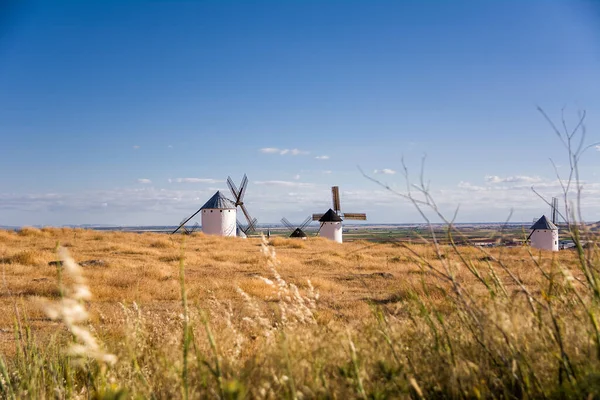 スペインのカンポ クリッターナにある古代風車のあるドライフィールド セルバンテスのドン キホーテで定義されている — ストック写真
