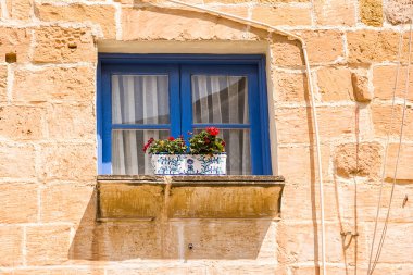 Malta sokaklarında kırmızı çiçekli küçük mavi bir pencere.