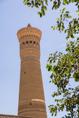 Buhara 'daki Khoja Kalon medresesinin iç avlusundan görünen minare
