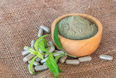 Andrographis panikleme özü tozu (Andrographis Paniculata) tahtadan kase, panikleme kapsül bitkisi ve yapraklar içinde kahverengi çuval arka planda.