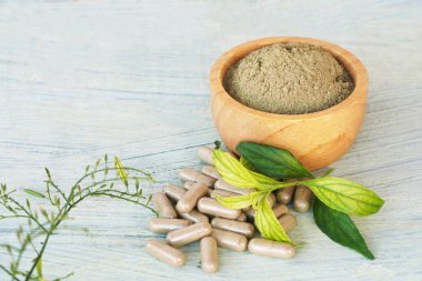 Andrographis panikleme özü tozu (Andrographis Paniculata) ahşap kase, panikleme kapsül bitkisi ve yapraklar içinde, yeşil ahşap arka planda.              