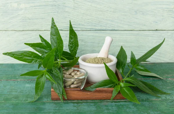 stock image Andrographis paniculata extract powder in white cup, herbal capsule, and fresh Andrographis paniculata leaves on old green wooden background.