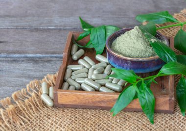 Andrographis paniklemiş bitkisel kapsüller, seramik kasede toz ve tahta tabakta yapraklar çuval bezi ve ahşap arka planda.