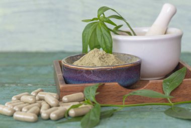 Andrographis panikleyerek seramik kasede toz, bitkisel kapsüller, ahşap tabakta ve yeşil yapraklar yeşil ahşap masada..