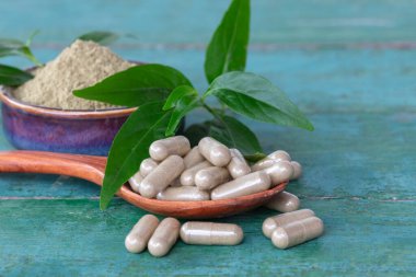 Andrographis, tahta kaşıkta paniklemiş bitkisel kapsüller, seramik kasede panikleme özü tozu, ve eski yeşil ahşap arka planda taze yeşil yapraklar..