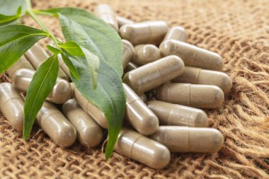 Andrographis Paniculata kapsülleri bitkisel özü kahverengi çuval arka planda taze yapraklarla kaplar.