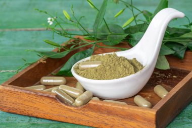 Andrographis paniklemiş bitkisel özüt tozu ve kapsüller beyaz seramik kaşıkta. Kahverengi tahta kutu ve yeşil ahşap arka plan üzerine kuruludur..