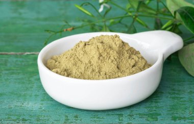 Andrographis panikleme tozu yeşil ahşap zemin üzerinde taze yaprak ile beyaz kâse içinde özüt.