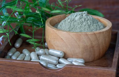 Andrographis Paniklemesinin bitkisel kapsülleri. Tahta kasede ve ahşap tabakta eski ahşap arka planda taze yapraklarla panikleme tozu..