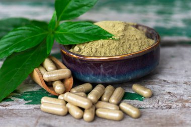 Paniklemenin ahşap kaşık içindeki bitkisel kapsülleri (Andrographis Paniculata) ve seramik kasede toz özü bulunan yeşil yapraklar eski ahşap arka planda..