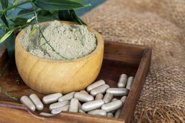 Andrographis panikleyerek ahşap kasede bitkisel kapsüllerle ve çuval bezi ve vintage arka planda ahşap tabakta yapraklar oluşturur..