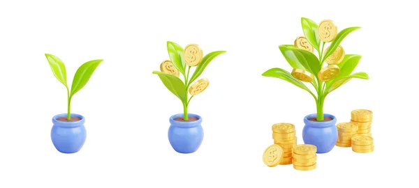 Render Set Sprout Growing Money Tree Golden Coins Isolated White — Stock Photo, Image