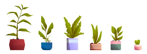 Plants Pots Home Office Interior Decoration Vases Flowers Houseplants Green — Stock Vector