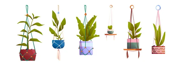 Macrame Hangers House Plants Pots Houseplants Flowers Green Leaves Handmade — Stock Vector