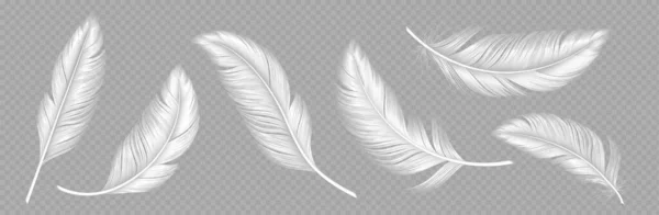 透明な背景に白い柔らかい羽が隔離されています 鳥や天使 柔らかさと純度の象徴の翼から下または梅 現実的なデザイン要素 3Dベクトルイラスト アイコンセット — ストックベクタ