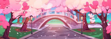 Sakura ağaçlarının altında köprü olan şehir parkı şeridi. Pembe çiçekli kiraz çiçeğinin çizgi film vektör çizimi, sokak lambaları, sokak lambaları, şehir bahçesindeki yeşil çimenler. Güzel bahar manzarası