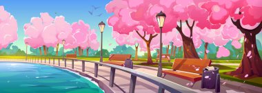 Riverside park with sakura trees blooming along promenade. Vector cartoon illustration of sunny day in spring public garden, cherry blossom with pink flowers, petals in air, empty benches near water