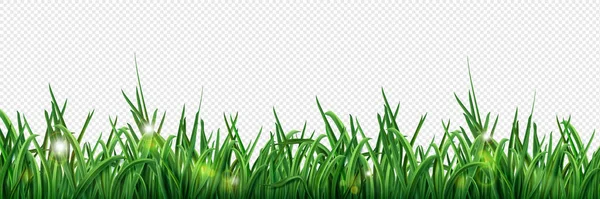 太陽光ベクトルイラストと隔離された緑の芝生の芝生の境界 現実的な春のフィールドフッターライン 夏のエコラインゲームふわふわのテクスチャパターン 太陽とボケのオーバーレイとフレーム行 — ストックベクタ